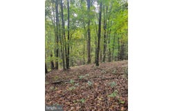BEAR Road, DELRAY, WV 26714