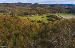 89 Acres Lynn Flanary Road, Blackwater, VA 24221