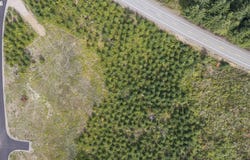 187 Talon Ct, Kalama, WA 98625