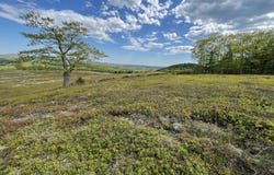 Heart Oak Lane, Union, ME 04862