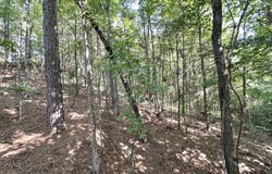 Highway 43, Ethel, MS 39067
