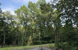 697 Galbraith Rd., Brooksville, KY 41004