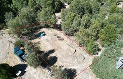 29521 Pineridge, Cedar Glen, CA 92321
