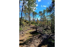 0 Mount Horeb Road, Amherst, VA 24521