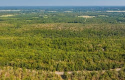 42 Allen, Vilonia, AR 72173