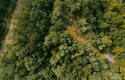 Moss Loop, Enville, TN 38332