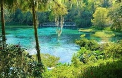 SW 191ST Avenue, DUNNELLON, FL 34432