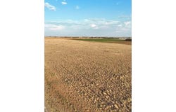 6406 Rockin T Rd, Ropesville, TX 79358