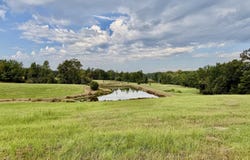 1955 Adams Road, Oakland, MS 38948