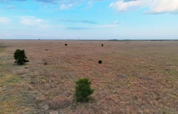 County Road C, Liberal, KS 67901