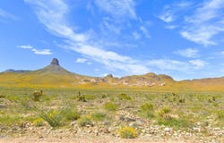 5000 Sheldon Drive, Golden Valley, AZ 86413