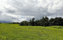 304 Cape Road, Jamestown, KY 42629