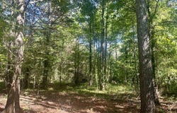 Willow Way, Flora, MS 39071