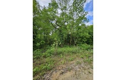 W Dade 2, Jerico Springs, MO 64756