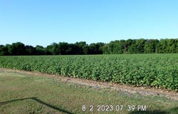 Fm 744, Malone, TX 76660