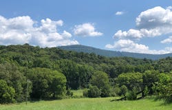 FOX HILL Drive, FRONT ROYAL, VA 22630