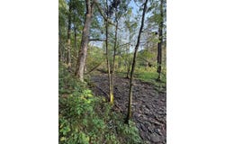 Dennis Road, Dillsboro, IN 47018