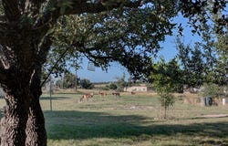 680 Windmill Ridge, Harper, TX 78631