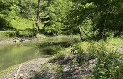 Tract 4 Pea Ridge Rd, Waddy, KY 40076