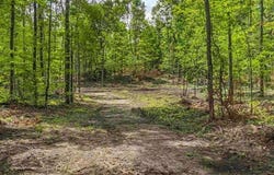 00 VALENCOURT ROAD, CLEON TWP, MI 49625