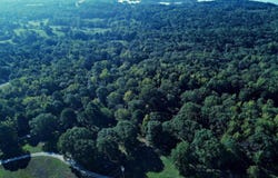 Scottish Trail, Bismarck, AR 71929-0000