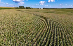 173 Hawkweed Drive, Postville, IA 52162