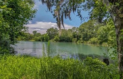 58 Beaver Pond Loop, Pawleys Island, SC 29585