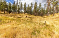 N Vista Cir, Colbert, WA 99005