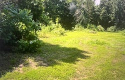 196 BOYD Ln, Stanton, TN 38069