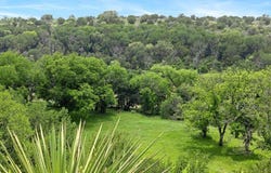18855 FM 580, Lometa, TX 76853