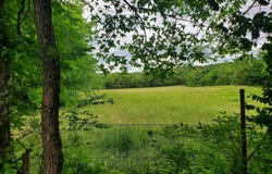 288 Polk Road 57, Mena, AR 71953