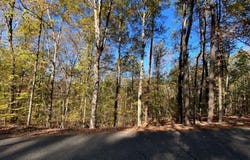 Million Dollar Lakes, Vance, AL 35490