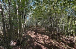 Estates, Kerrick, MN 55756