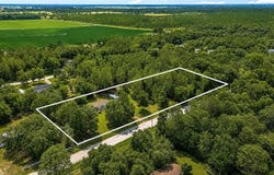 13711 NE 8TH Street, WILLISTON, FL 32696