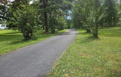 3405 State Route 17, Mountain View, MO 65548
