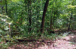 Battery Hill Lane, Tyro, VA 22976