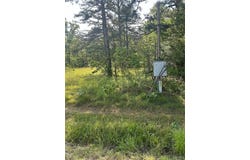 Hwy 21 N, Doniphan, MO 63935