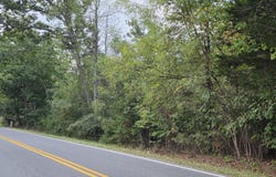 Tract 3 Edwardsville Rd, Hardy, VA 24101