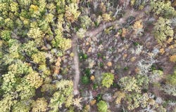 SE 451 Road, Collins, MO 64738