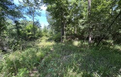 Sleepy Hollow Road, Terry, MS 39170