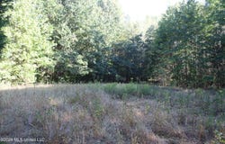 13 Star Landing Road, Nesbit, MS 38651