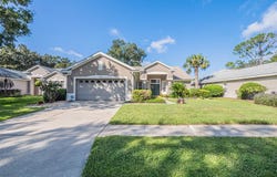 7004 PINE HOLLOW Drive, MOUNT DORA, FL 32757