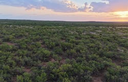 CR 370, Dickens, TX 79229