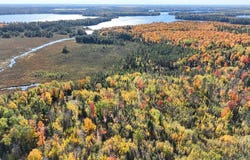 ON REED RD, Three Lakes, WI 54562