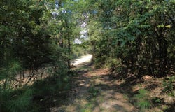 Co Rd 350, Billingsley, AL 36006