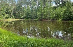 858 Hwy 331, PARIS, MS 38949