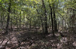 R and R Circle lot: 12, Kemp, TX 75143
