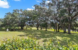 16450 SE 67th Pl, Morriston, FL 32668