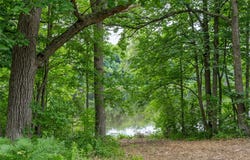 N1297 County Highway E, Bruce, WI 54819