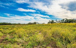 654 Scott Branch Rd, Harper, TX 78631